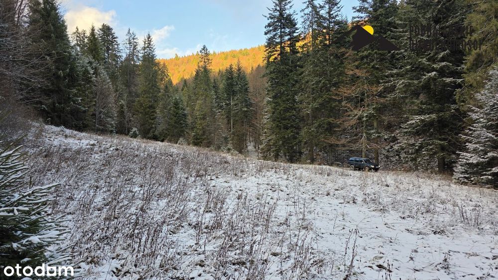 Polana w Gorcach w spokojnej okolicy