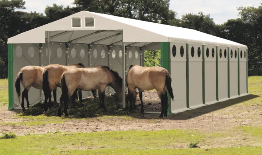 Namiot zimowy całoroczny 6x10 hala dla koni zwierząt Mocny PCV stal