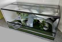 Terrarium z rekinem dla węża, TW12R2L, AquaWaves