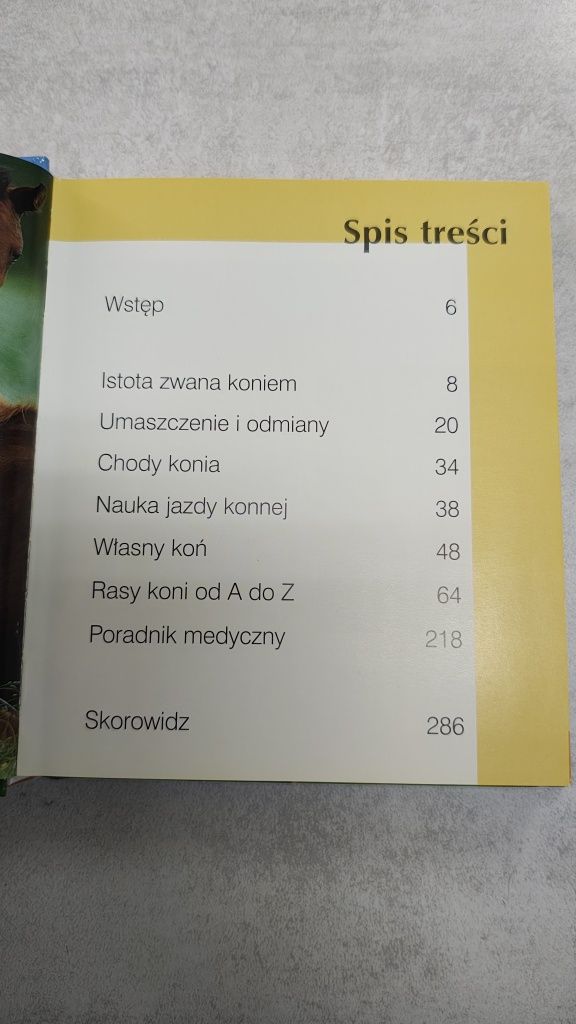 Konie. Przekład: Joanna Krzaczyńska