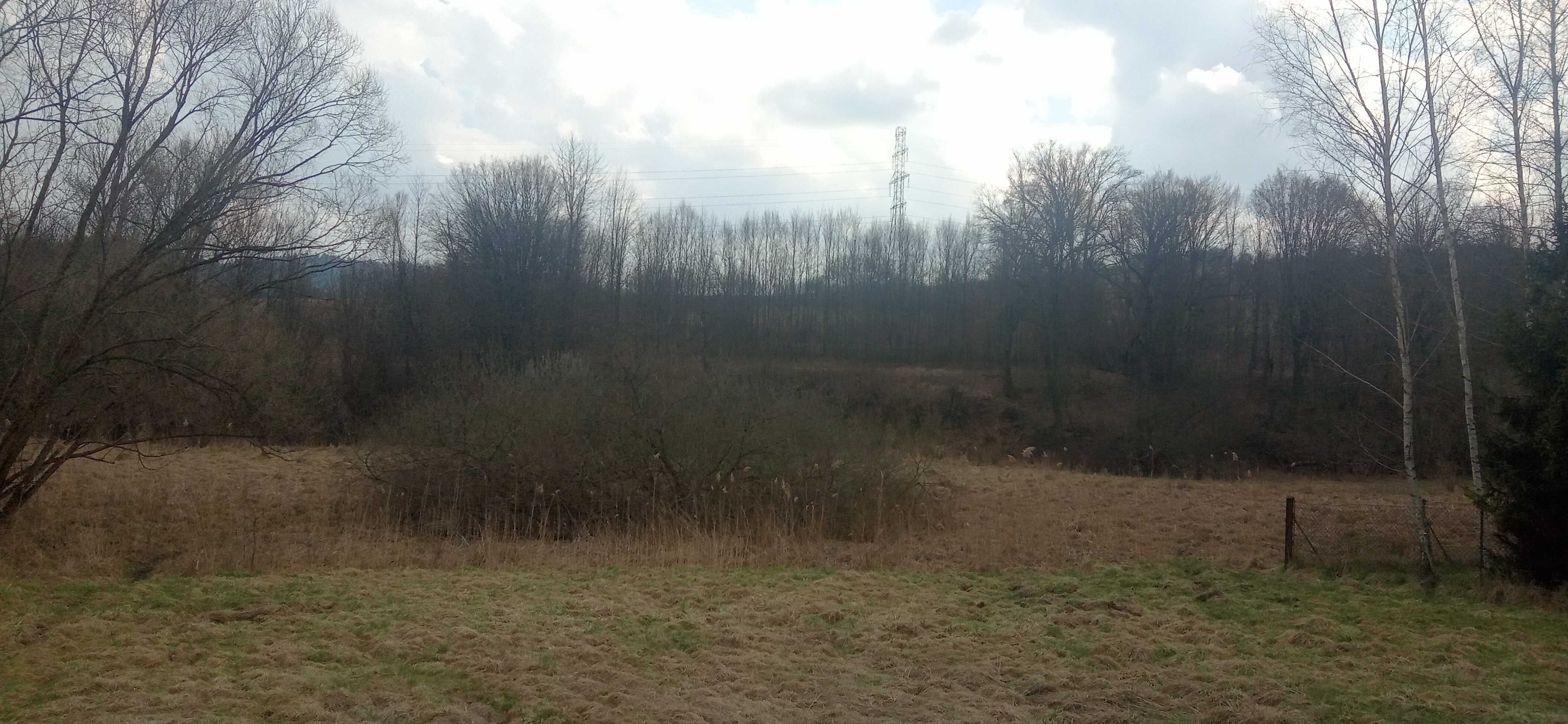 Działka zieleń, rolna Żywiec ul. Sporyska / Łąkowa