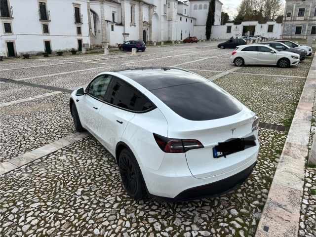 Tesla Model Y RWD