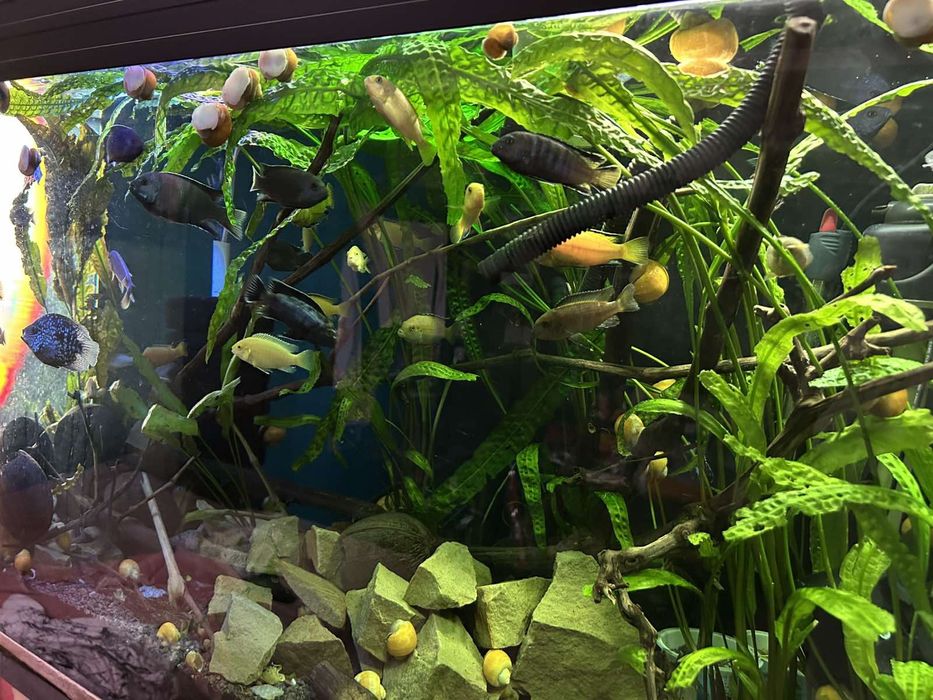 Акваріум ..б/ у в хорошому стані