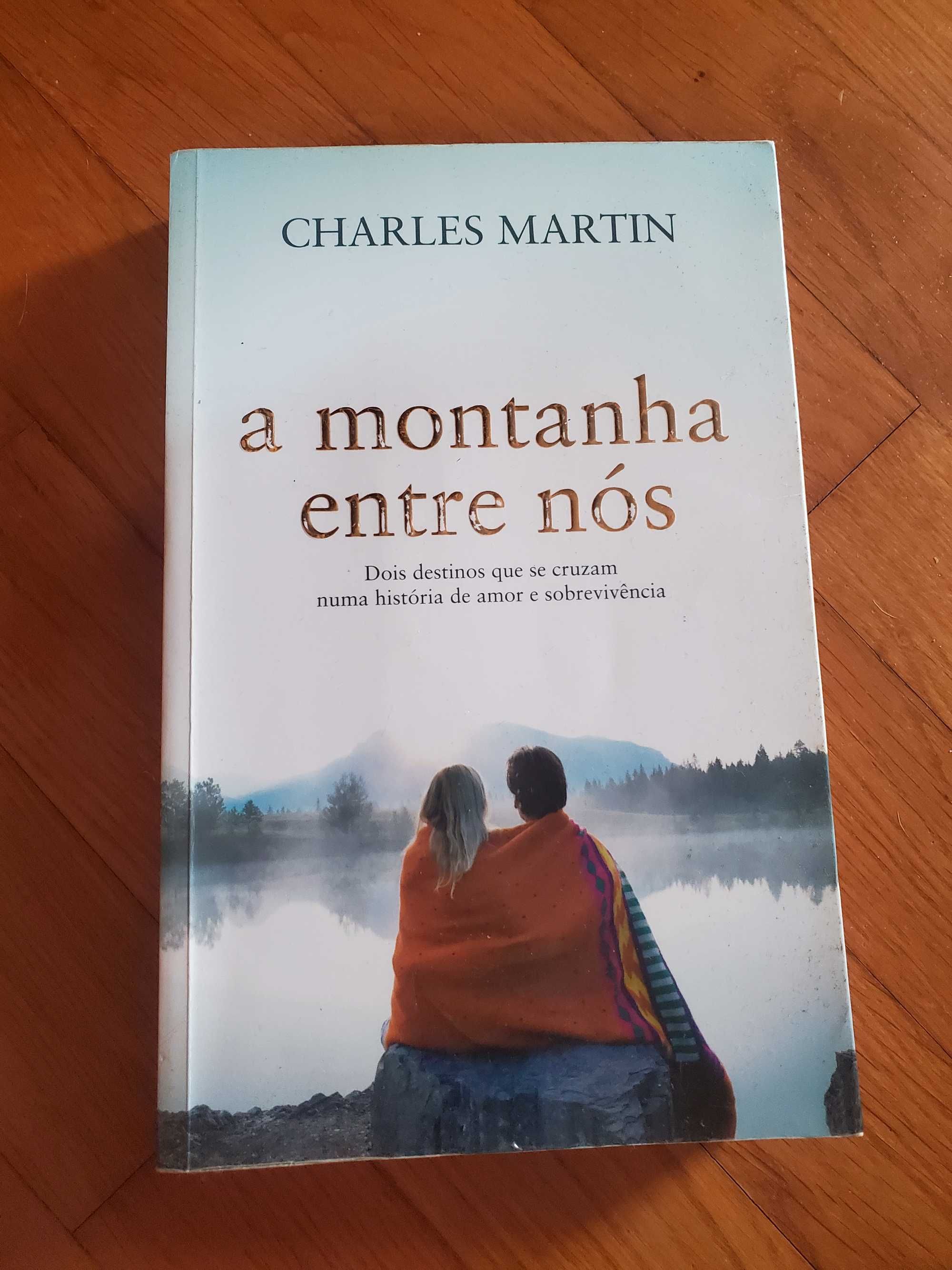 Livro "A montanha entre nós"