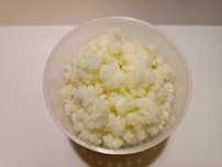 Grzybek tybetański kefir 10 gram