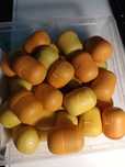 39 Ovos Kinder -Brindes