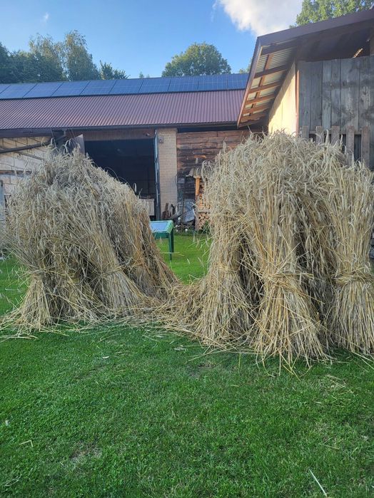 Maty ze słomy do uli – naturalne, solidne, ręcznie robione