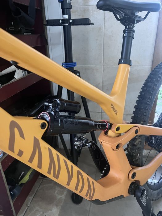 Canyon Torque CF 7 2023