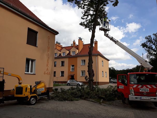 Zwyżka, Podnośnik koszowy, Zwyżka nożycowa, Platforma Robocza, wynajem