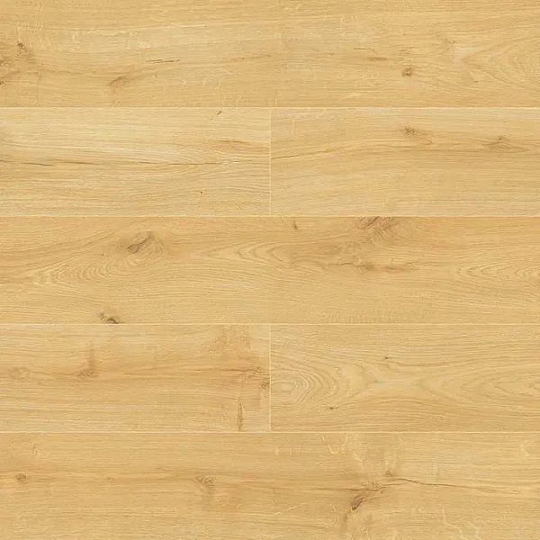 Panele podłogowe laminowane Outlet SWISS KRONO Dąb Virgo D4571 AC5/8mm