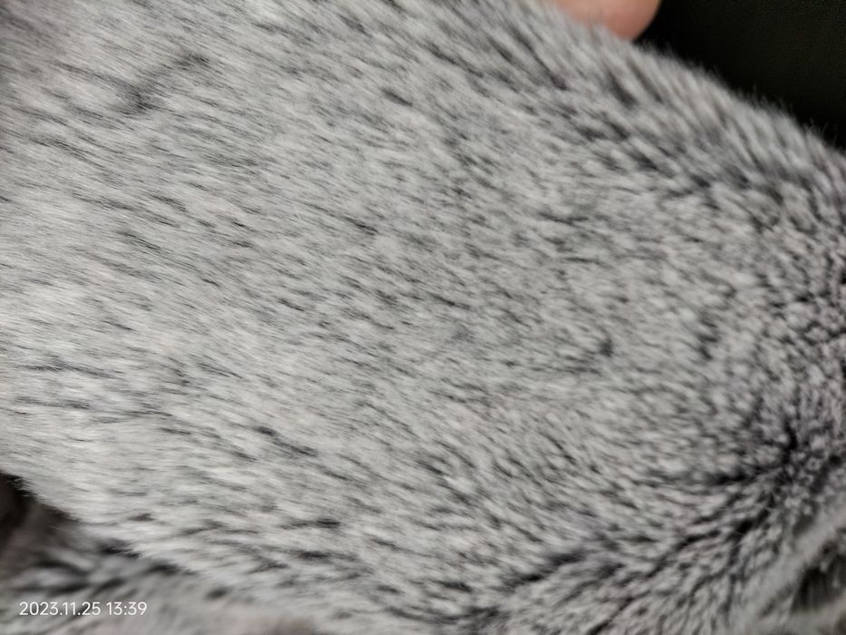 шубка демосезонна TU на 2-3 роки