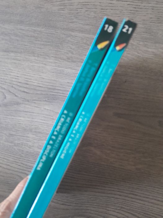 Conjunto de 2 livros  - O método Brazelton