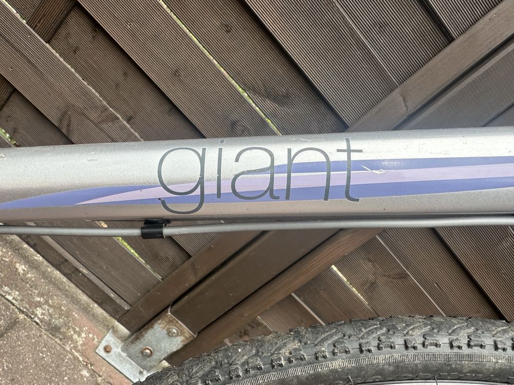 Rower Giant escape W