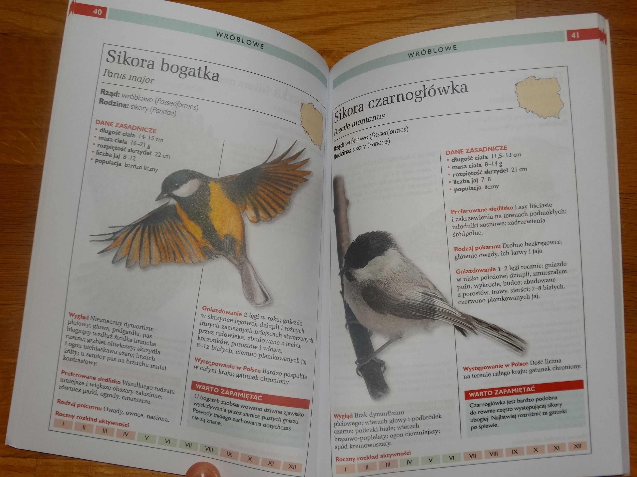 A. Ł. Przybyłowicz Atlas Ptaków Polski część 2 Nowy