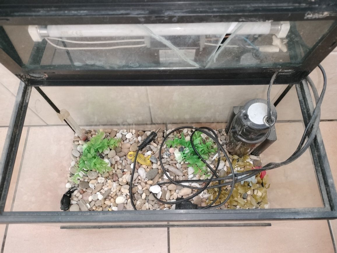 Aquário de peixe