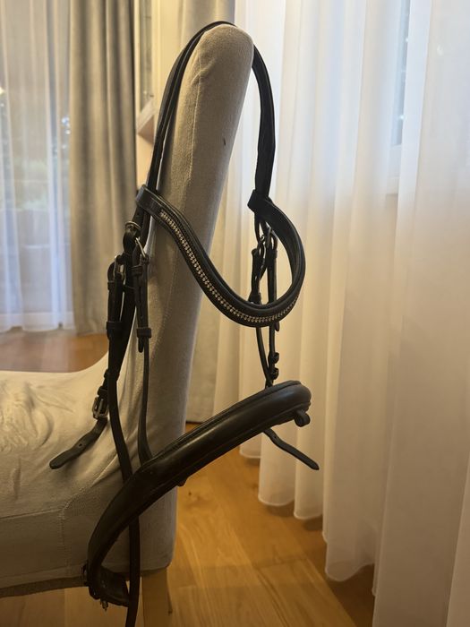 Ogłowie anatomiczne