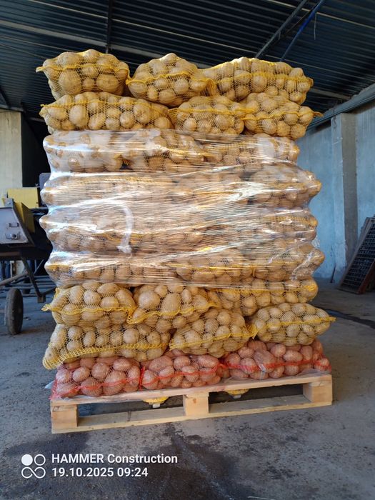 Zmieniaki jadalne  Michalina