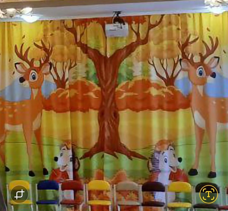 Яскраві фото штори/фотоштори/штори