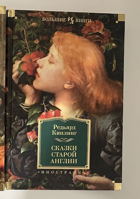 Большие книги. Классическая зарубежная литература, мировая литература