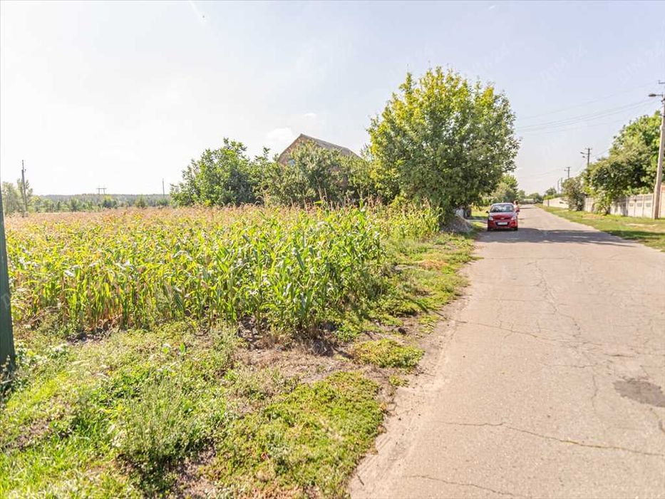 Земельна ділянка в Микільському!