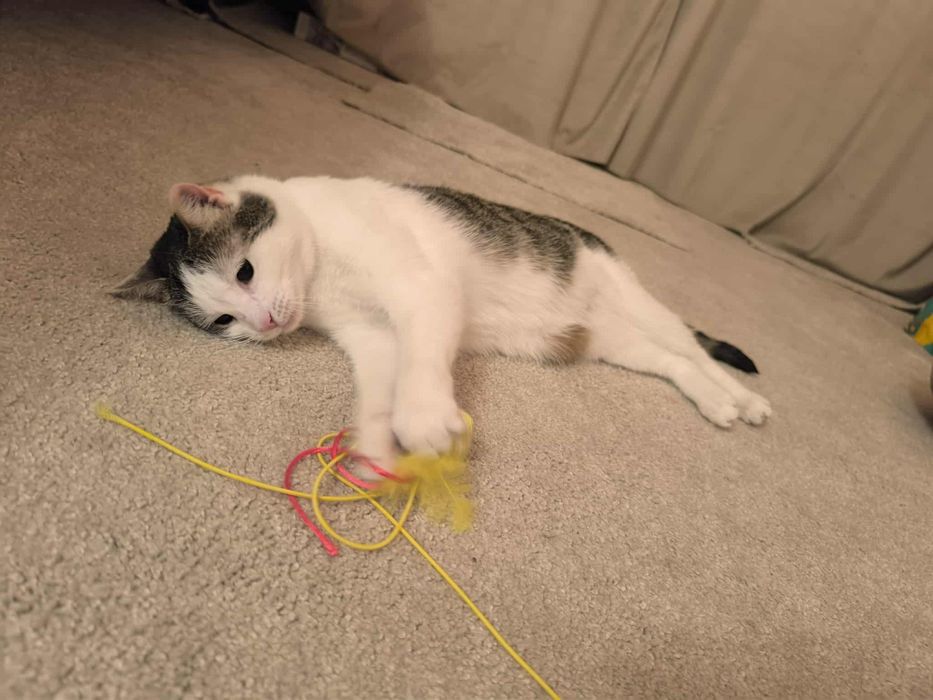 Dlaczego nikt Jej nie chce?..