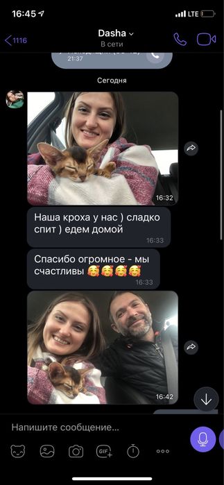 Доставка тварин в Європу. Перевезення 24/7. Доставка животных, pets EU