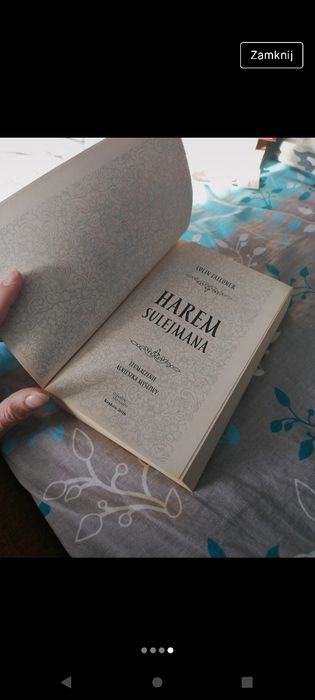 Harem sulejmana falconer