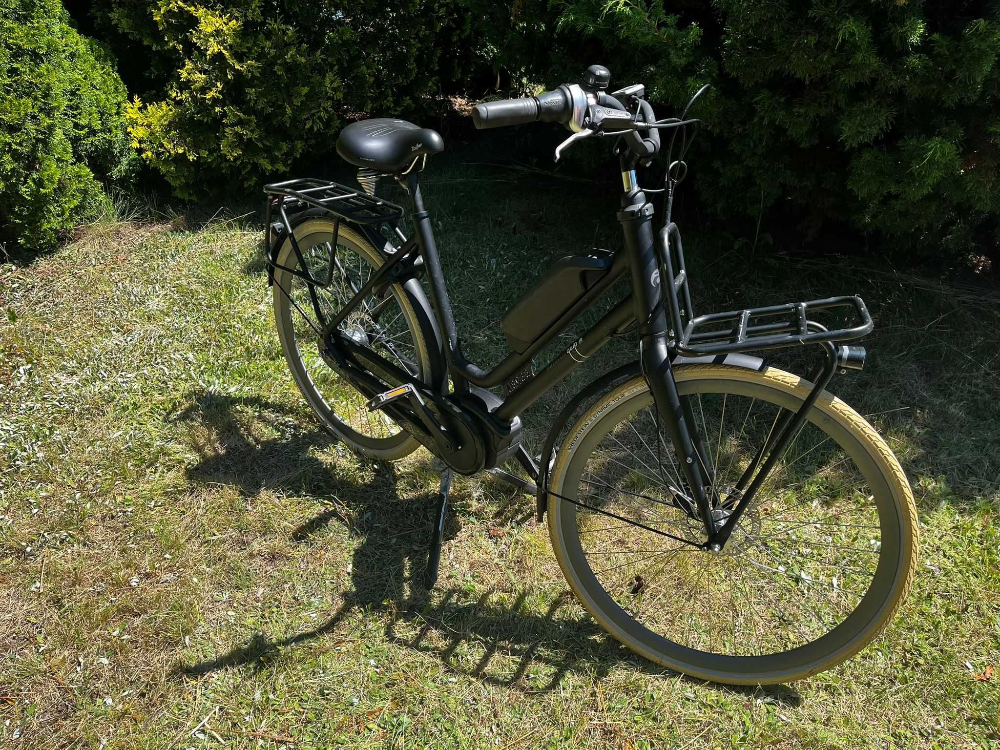 Rower Elektryczny Damski Batavus X-Cargo Silnik Centralny Bosch