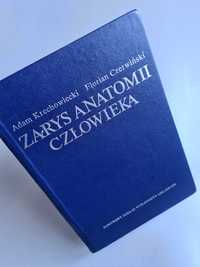 Zarys anatomii człowieka - A.Krechowiecki, F.Czerwiński