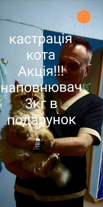 Ветлікар на Святошинській кастрація стерелізація в подарунок наповнюва