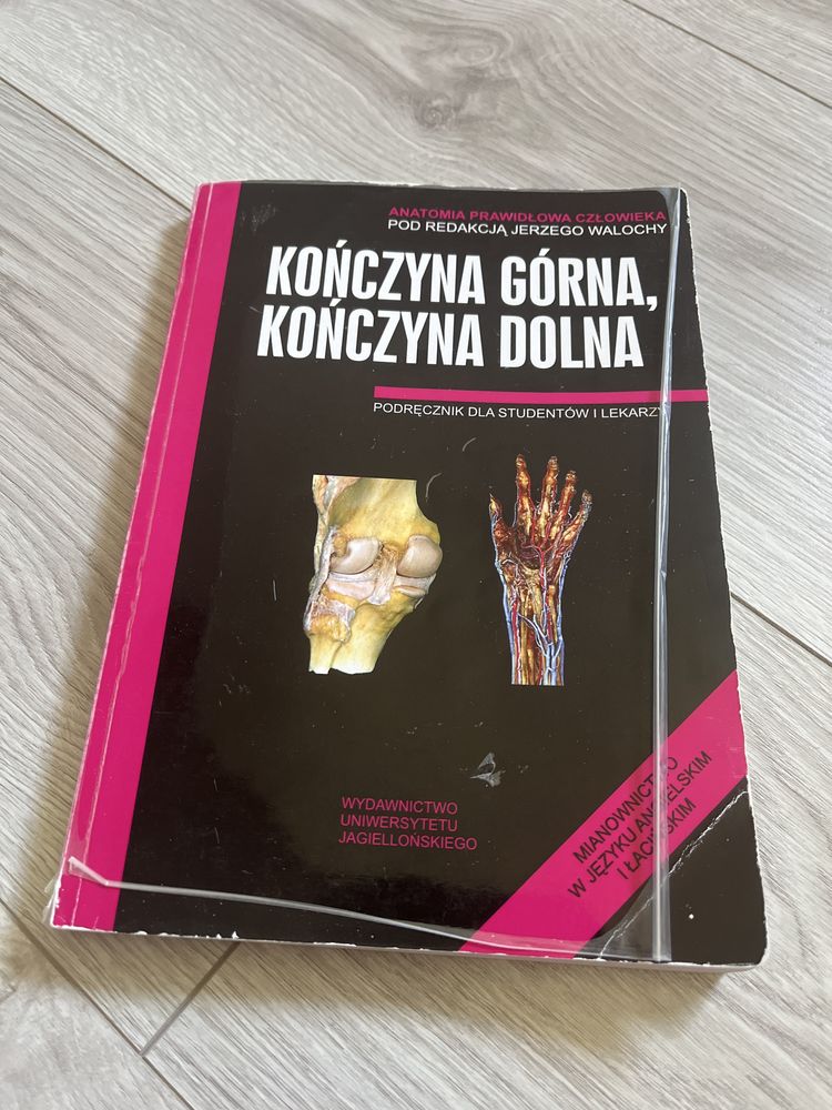 skawina, kończyna górna i dolna [anatomia]