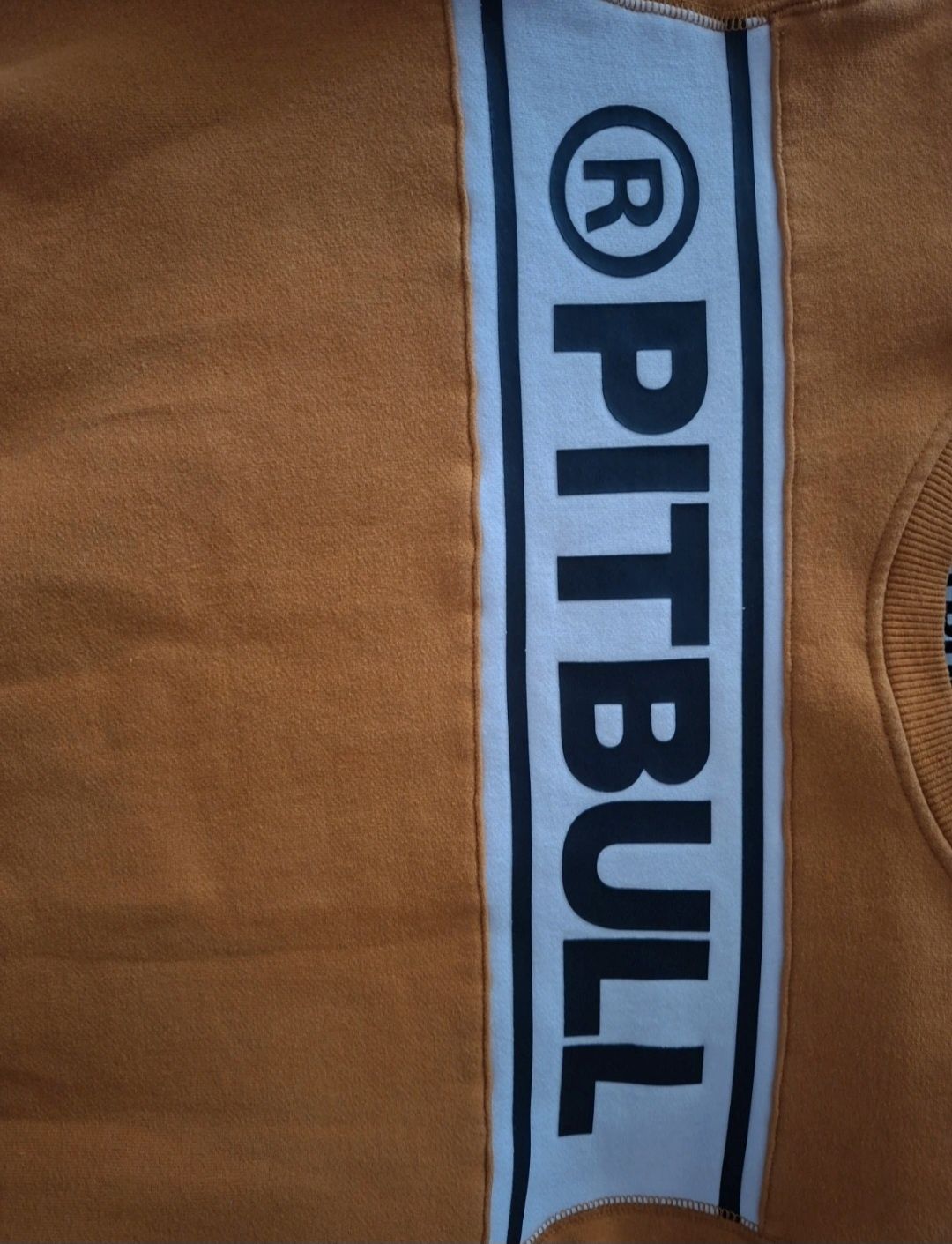 Bluza Pitbull West Coast w rozmiarze L.