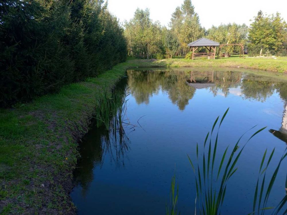 Rodzinny dom nad Wisłą z własnym stawem Bez Pośredników