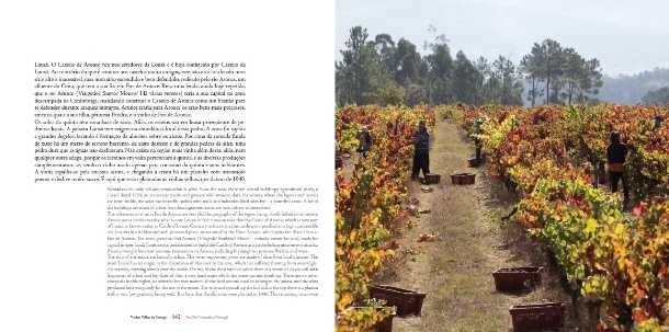 "Vinhas Velhas de Portugal" (The Old Vineyards of Portugal) - Novo