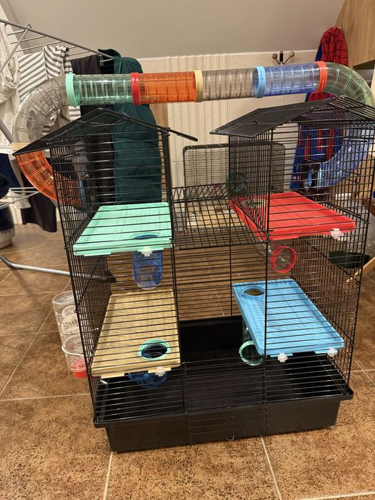 Klatka dla chomika z labiryntami