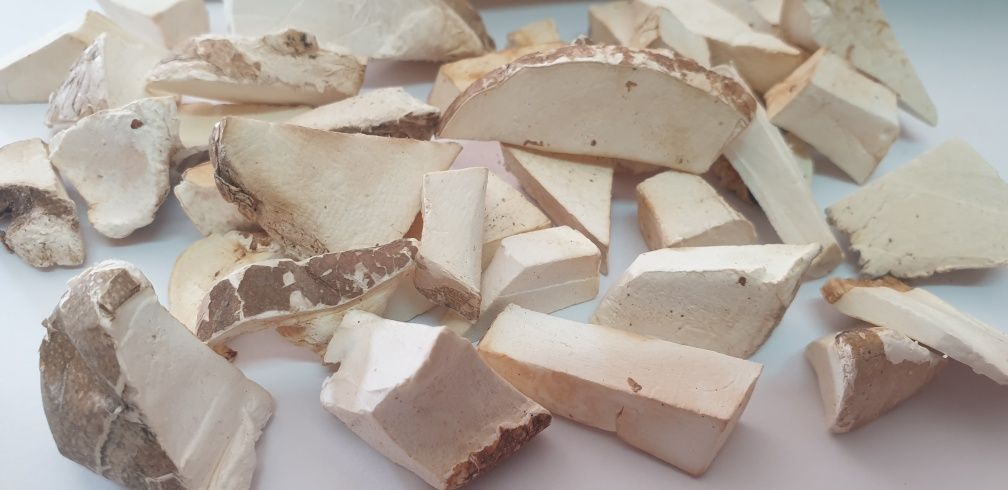 Białoporek brzozowy 50g suszony