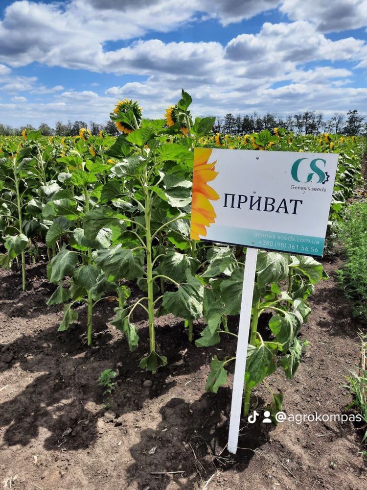 Семена подсолнечника, Кукурудзи, ЗЗР, Мікродобрива