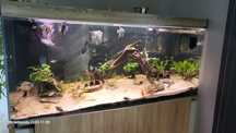 Akwarium 750 l 165x65x70h
