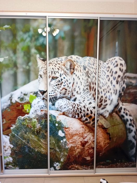 Продам шикарный дом на голубом озере Елизаветовка/Каменское