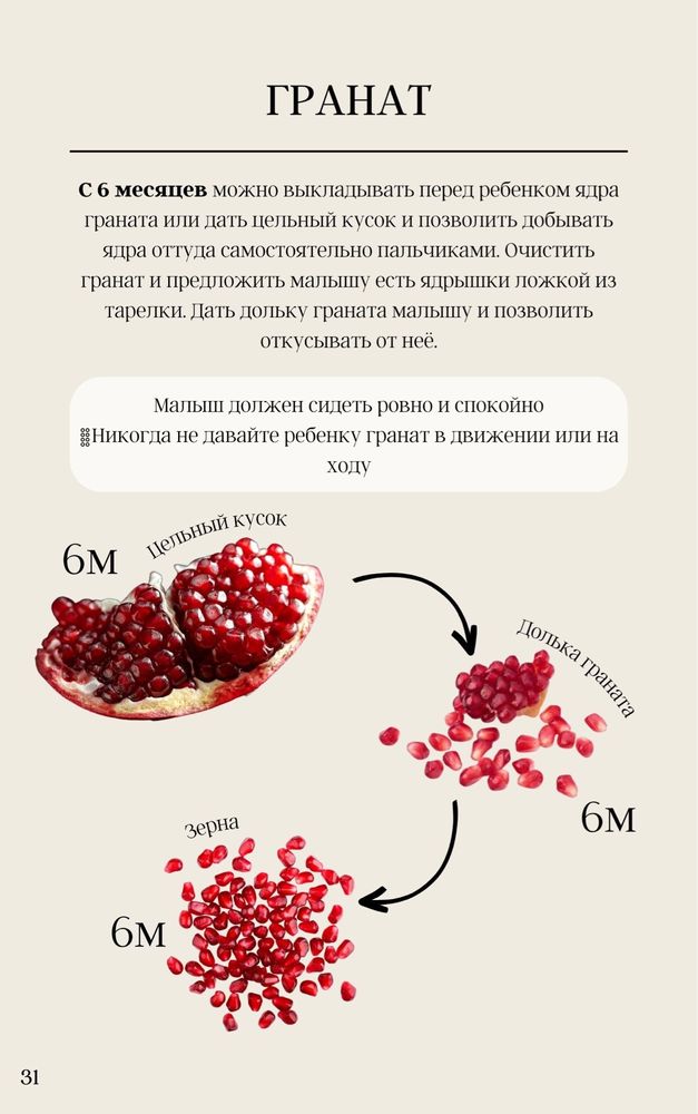 Прикорм. Самоприкорм. Безопасная подача. БЛВ