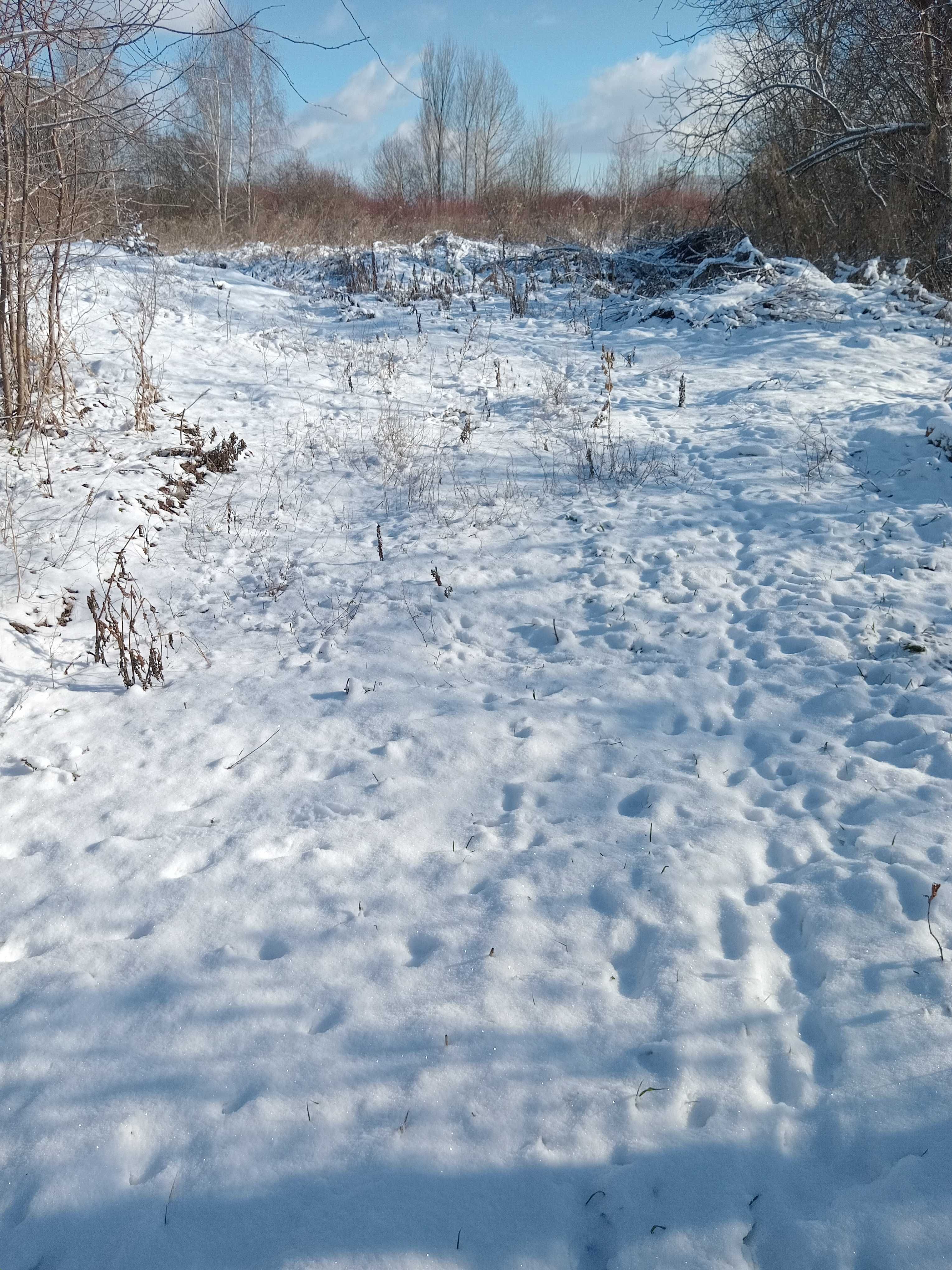 Здам дачу 6 сот у Києві (під викуп)