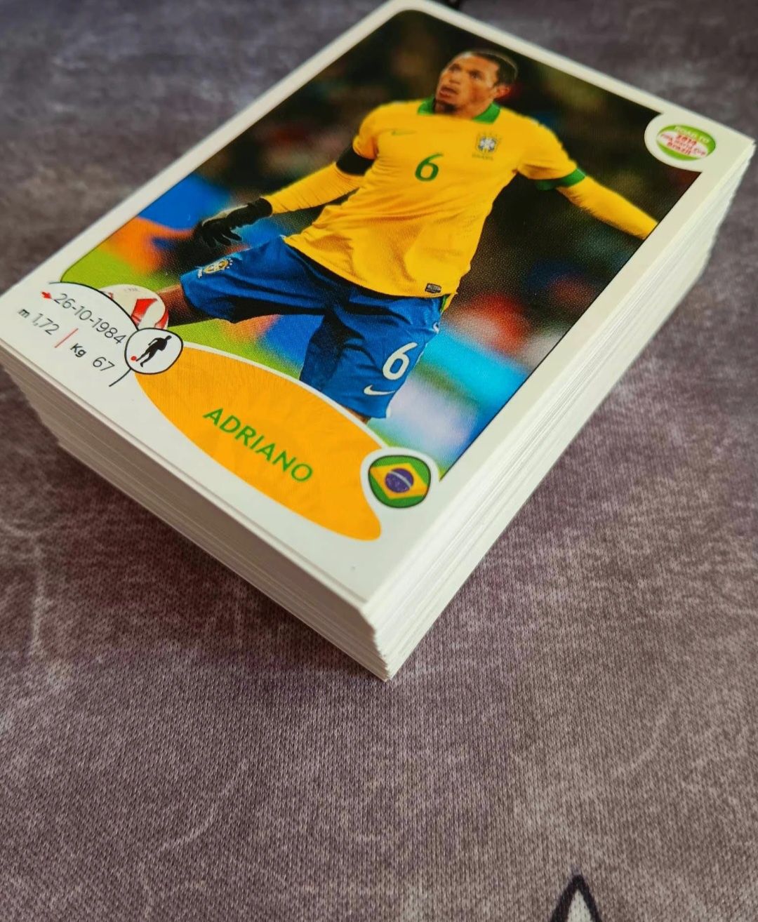 Panini Road to Brazil