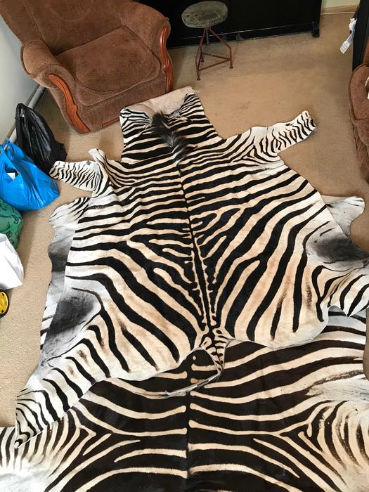 шкіра зебри з ПАР/ шкура зебры из ЮАР