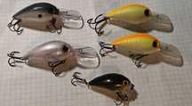 P. Woblery sumowe Storm Wiggle Wart i Sub Wart
