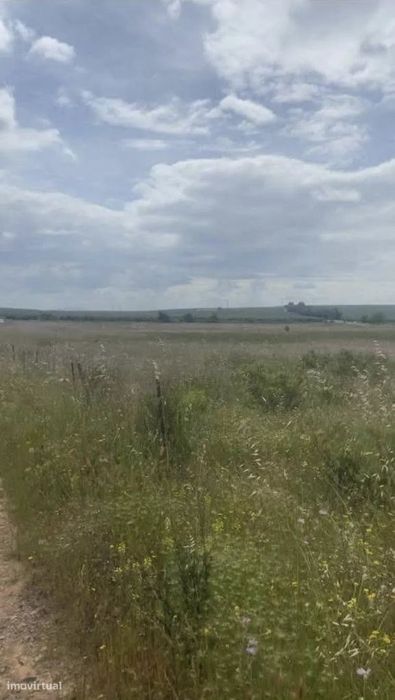 Terreno agrícola junto a Baleizão (IP8) no sentido Baleizão–Serpa