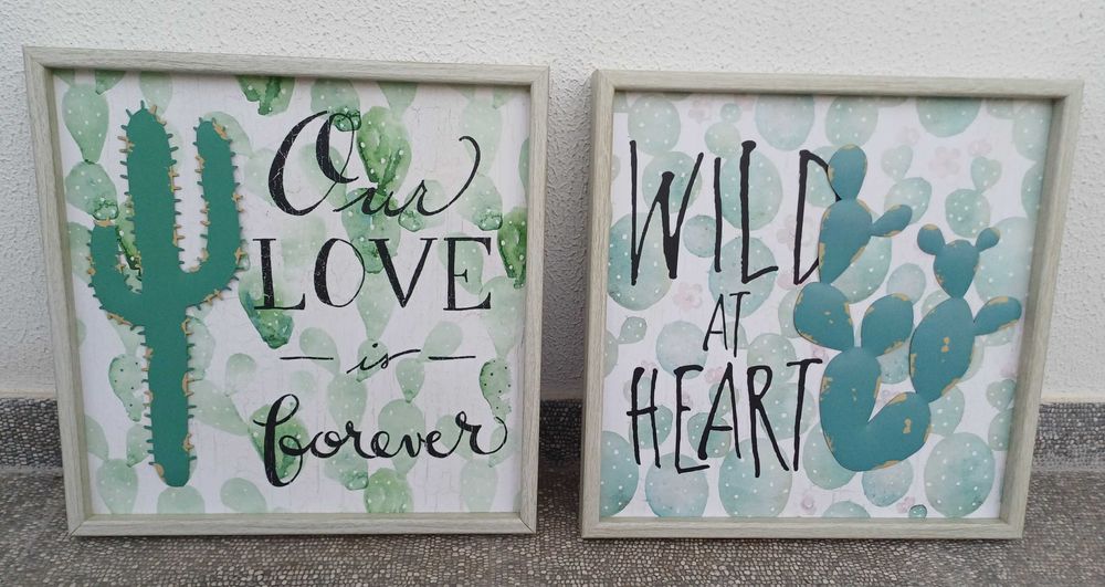 Conjunto de 2 quadros com catos