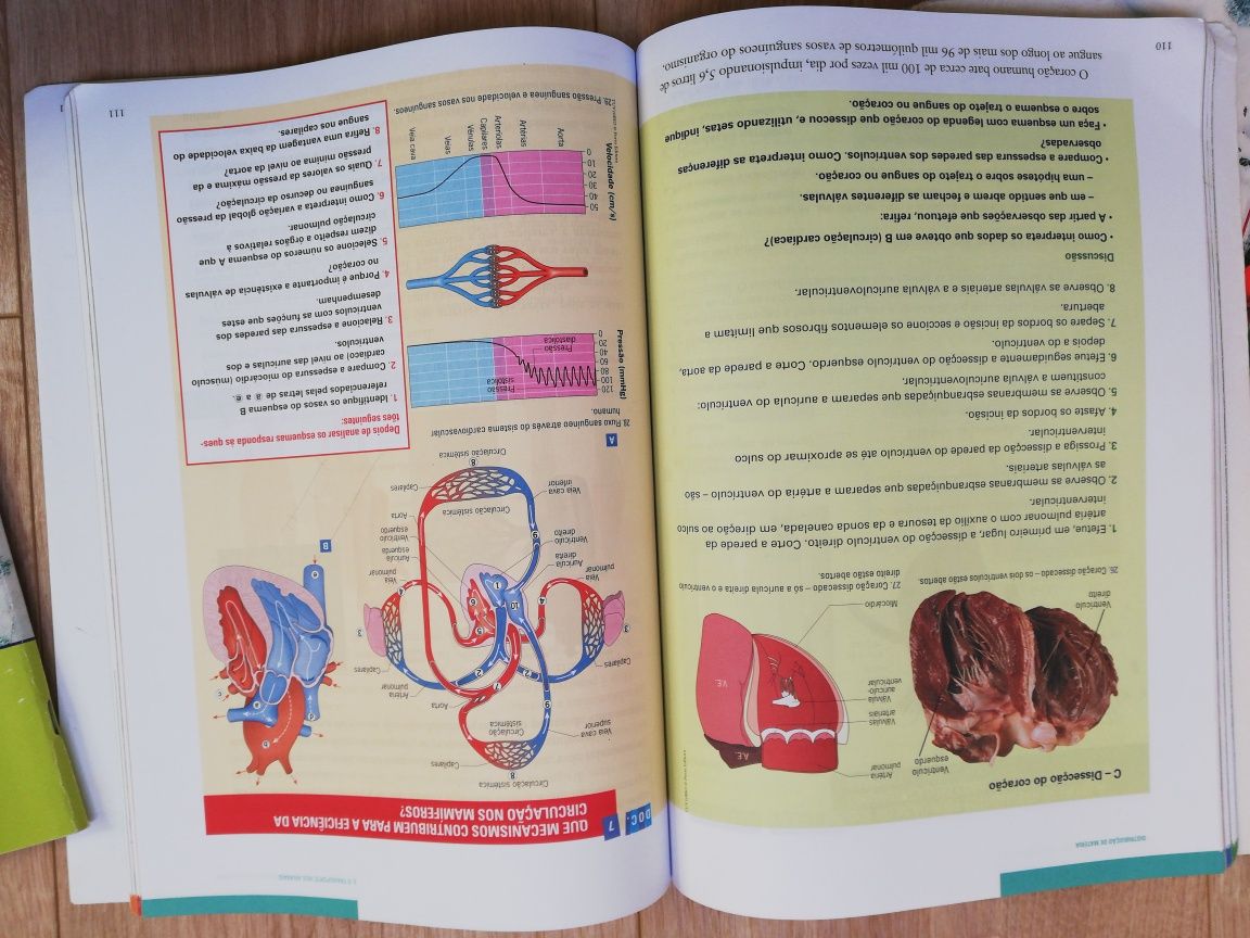 Livros Biologia e Geologia 10 Ano Terra Universo é Vida