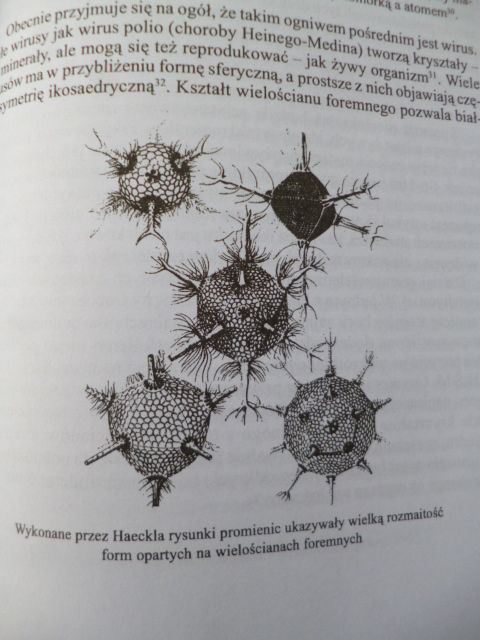 NAJPIĘKNIEJSZA molekuła Hugh Aldersey-Williams