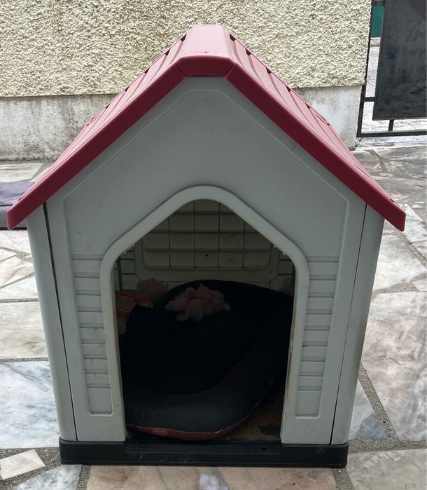 Tenho para venda, casota para cachorro, MP