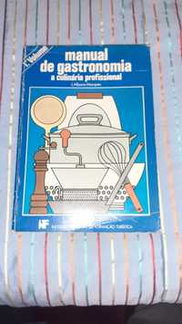 Manual Gastronomia culinária professional 1 volume raro